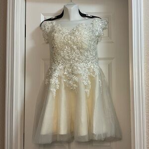 CHIC LACE MINI DRESS